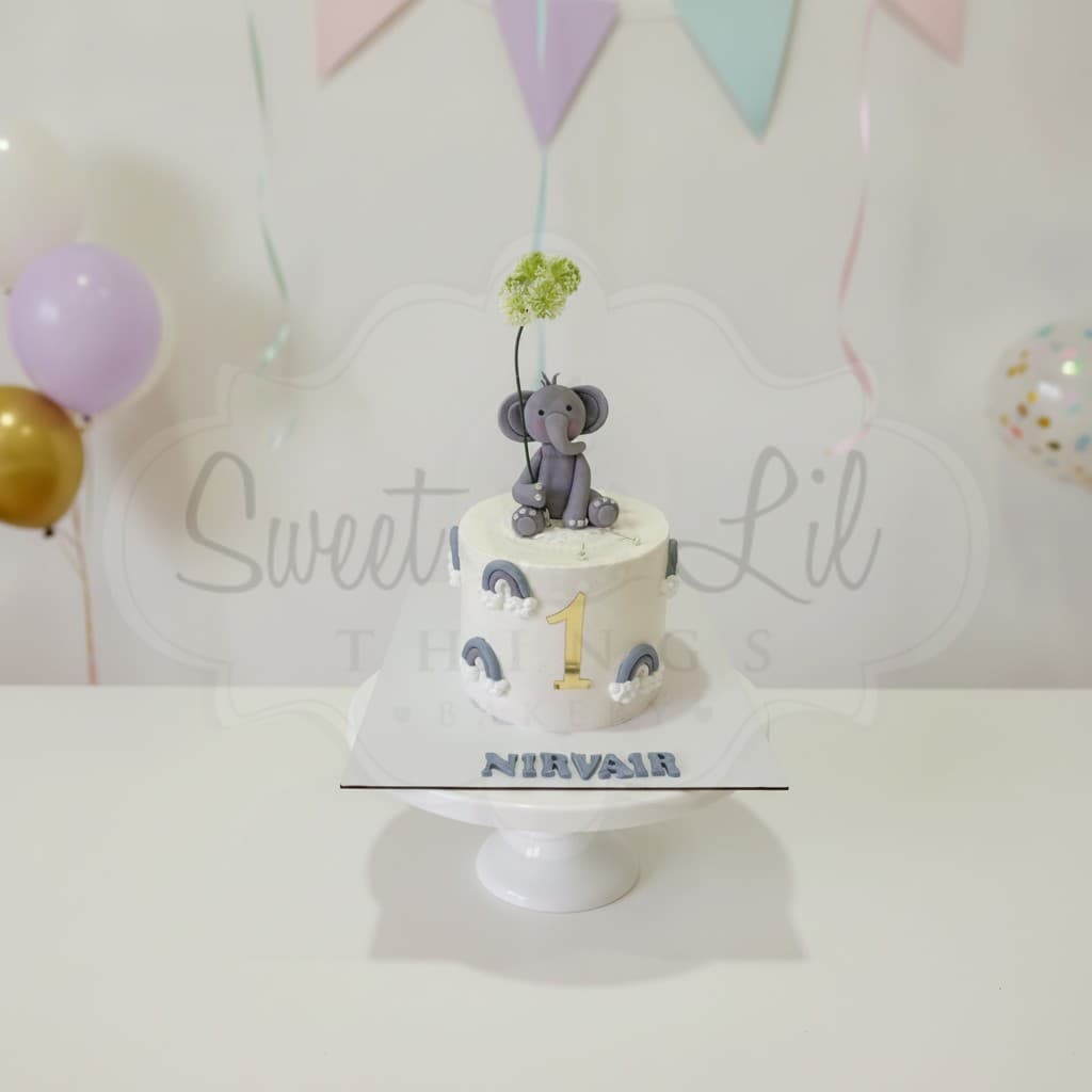 Baby Elephant First Birthday Cake — Rainbow